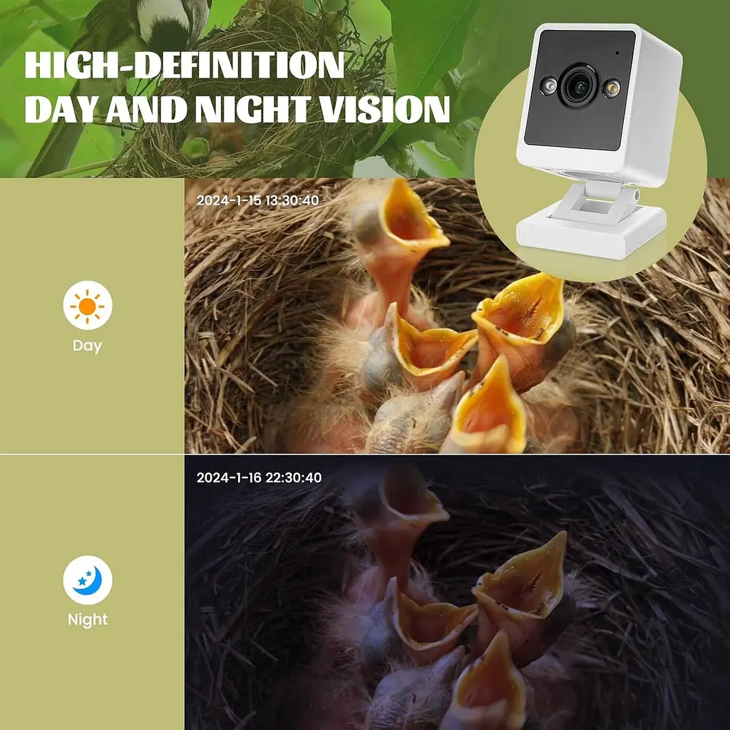 Ideashop Смарт скворечник с беспроводной камерой 3MP, 13" H подвесной деревянный птичий домик для улицы, внешняя камера - фото 5