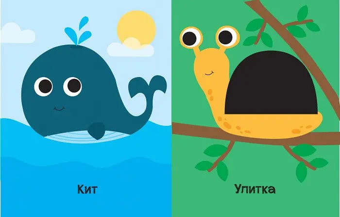 Книга Ранок На кого схожі тваринки? - Ангеліна Журба (К1272001У) - фото 3