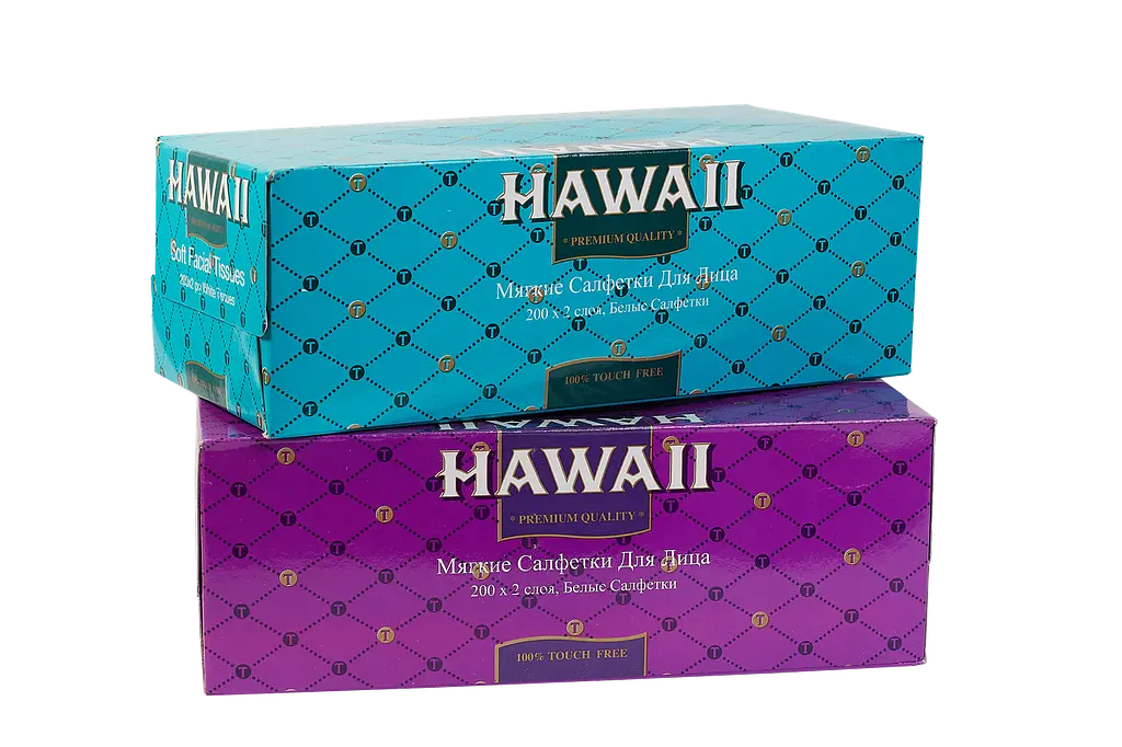 Салфетка бумажная косметическая HAWAII одноразовая двухслойная в коробке 200 шт/уп. - фото 3