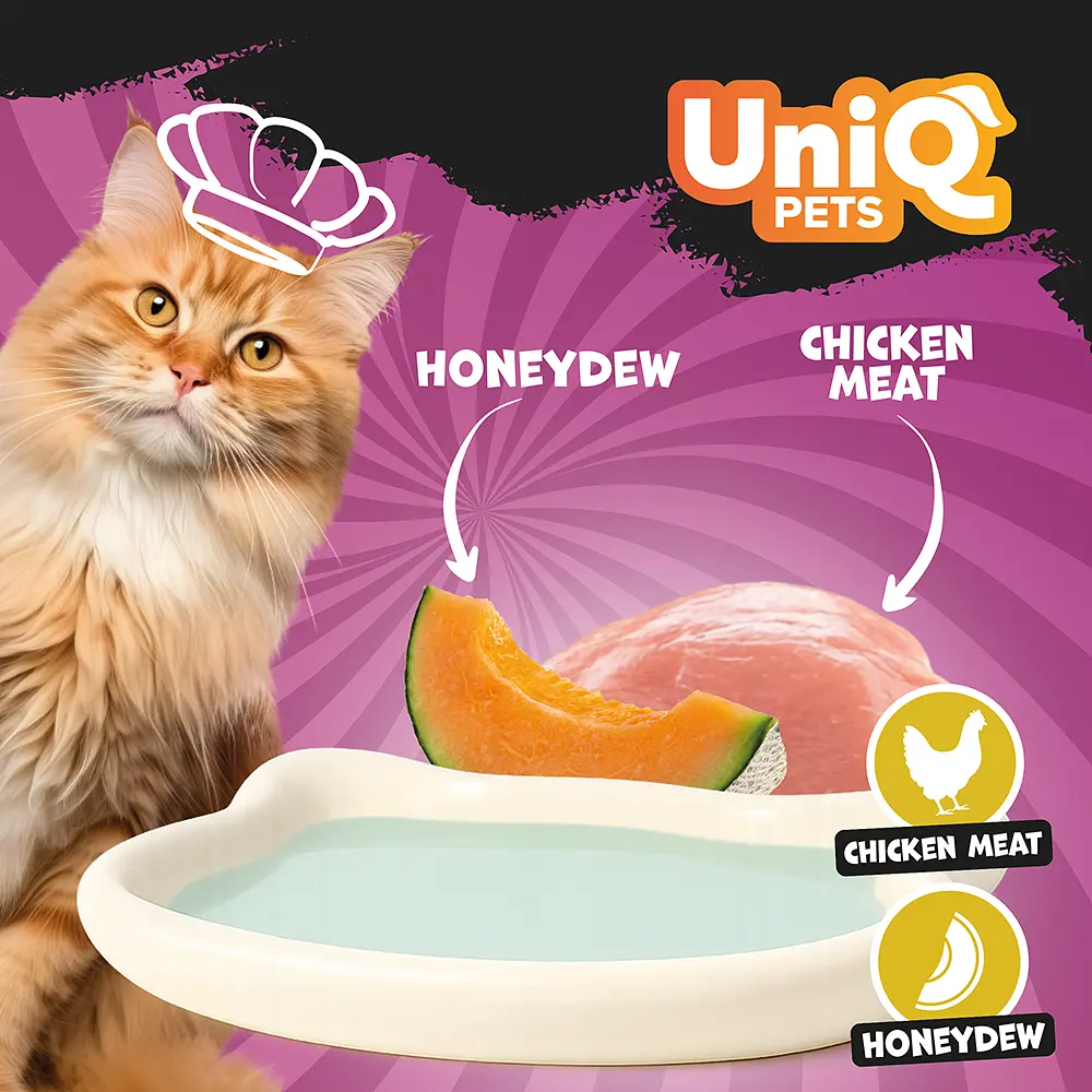 Кремовий вологий корм для кішок UNIQ PETS CAT WET FOOD DELIGHT SHAKE з куркою та медовою динею, 60 г - фото 5
