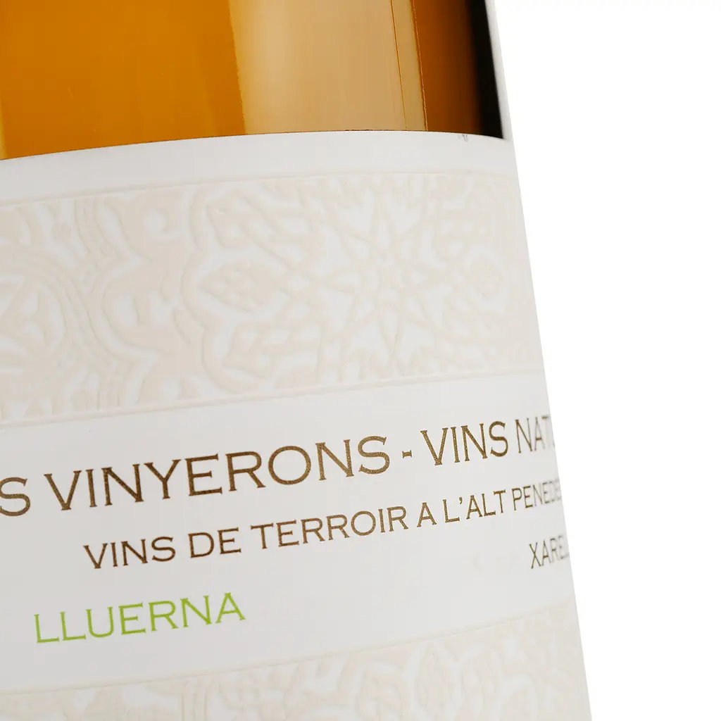 Вино Els Vinyerons Lluerna біле сухе 0.75 л - фото 3