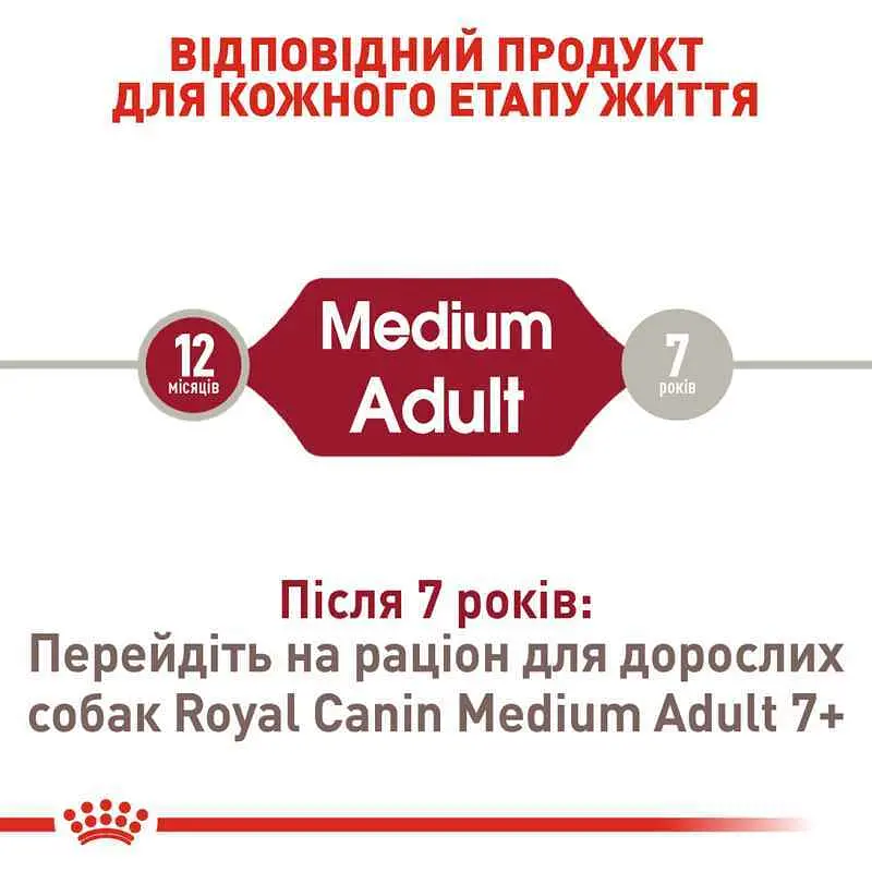 Сухой корм для взрослых собак средних пород Royal Canin Medium Adult, 1 кг (3004100) - фото 7