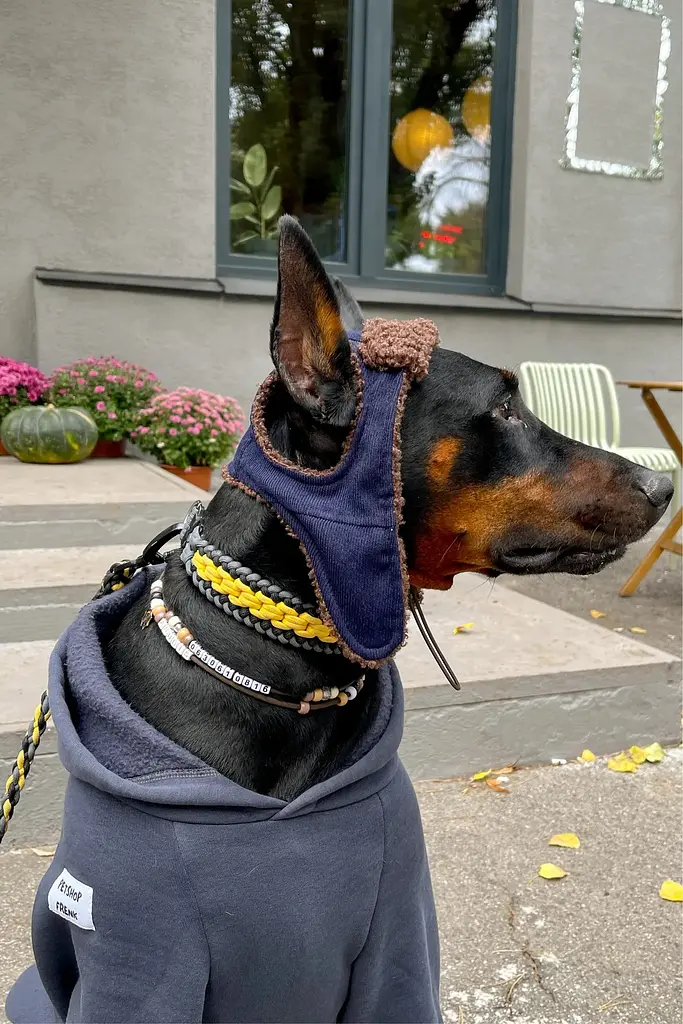 Шапка-вушанка для собак Hat-Dog Какао (L) - фото 6