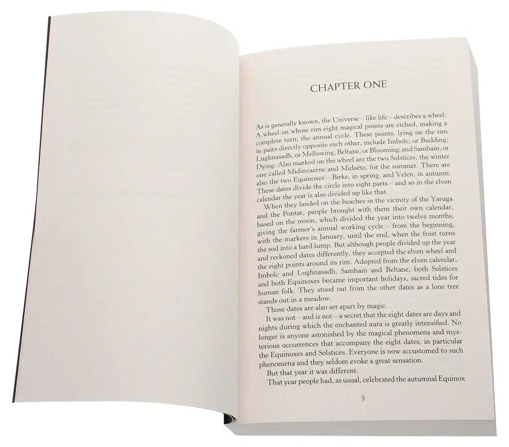 The Witcher. The Tower of the Swallow - фото 2