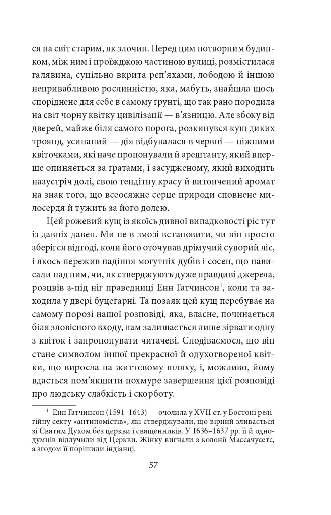Багряна літера - фото 5