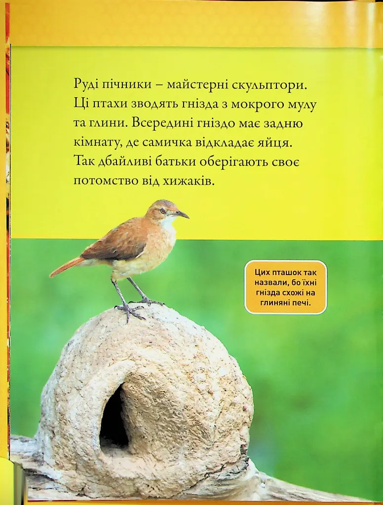 Тварини-будівники - фото 5