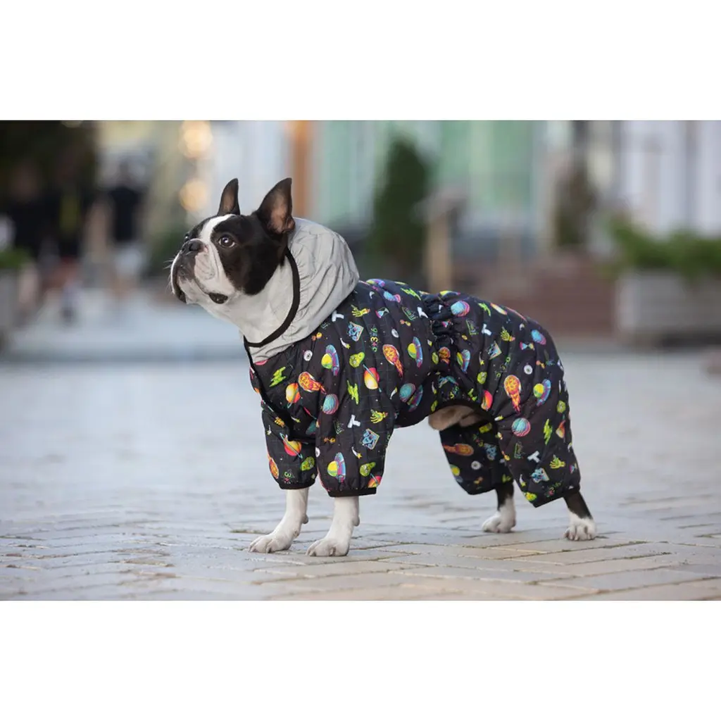 Комбінезон для собак Waudog Clothes, Рік та Морті 2, XS30 - фото 2