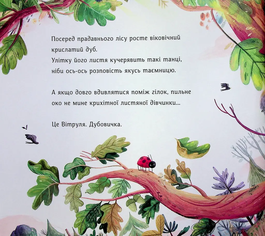 Вітруля, дубовичка невеличка - фото 2