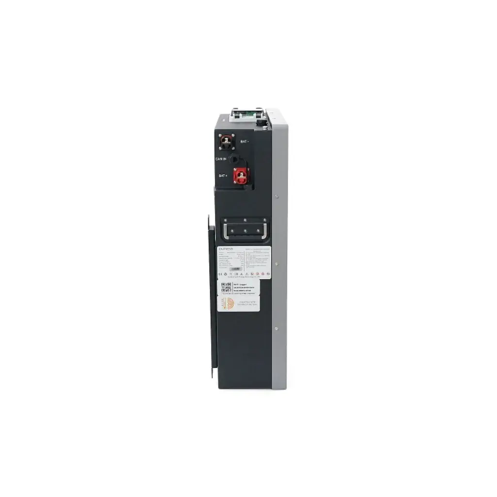 Батарея LiFePo4 Dyness Power Haus 51.2V/100Ah 5,12kWh (Dyness Power Haus) - фото 6