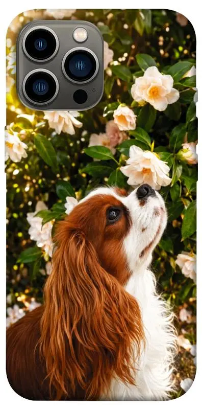 TPU чохол Demsky Flower spaniel для Apple iPhone 12 Pro Max (6.7")