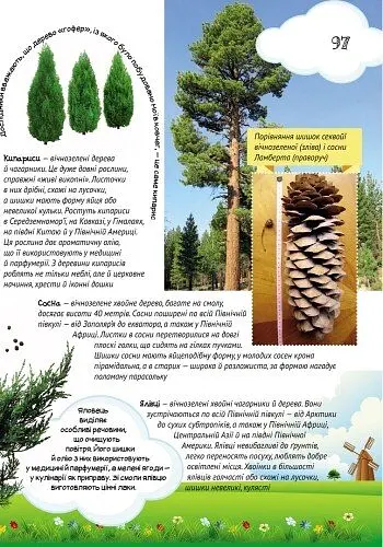 Все про все. Велика енциклопедія молодшого школяра - Яна Батій - фото 7
