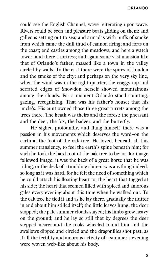 Orlando - фото 7