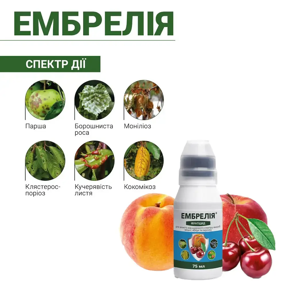 Фунгіцид для плодових культур Ембрелія ProtectON 75 мл (176413) - фото 2