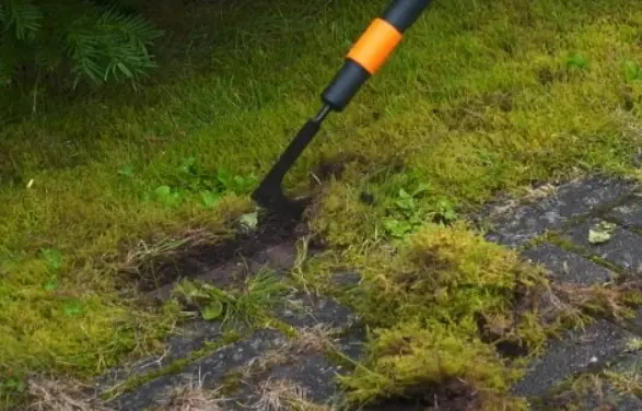Сапка для прибирання трави, моху та бур'янів між плиткою Fiskars QuikFit 136521 (1000687) (насадка) - фото 4