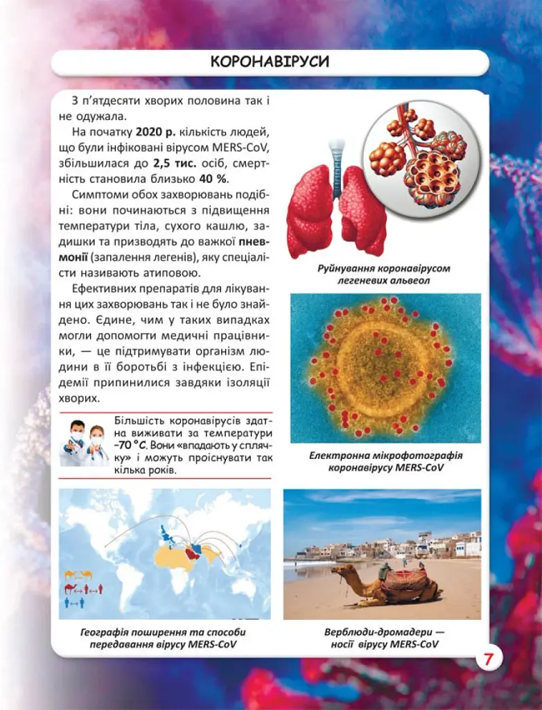 Світ навколо нас. Віруси - фото 3
