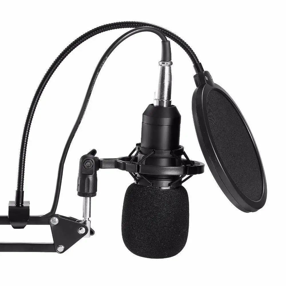 Конденсаторний студійний мікрофон RIAS M-800 Pro-MIC зі стійкою і вітрозахистом Black-Gold (4_00352) - фото 4