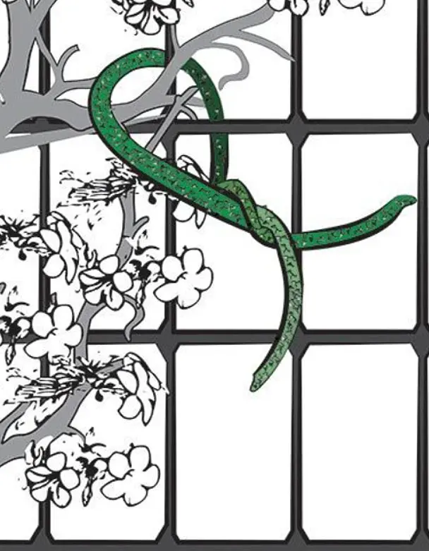 Сітка полімерна Tenax Королла для витких рослин, зелена 0.5 x 30 м  (236915) - фото 3