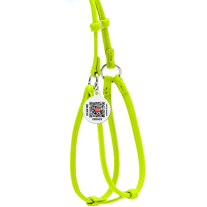 Шлея з повідцем для собак Waudog Glamour, шкіряна, кругла, з QR паспортом, 42-60х46-64х0,6/105 см, салатовий (34025) - фото 2