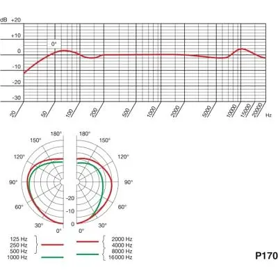 Микрофон AKG P170 (3101H00410) - фото 3