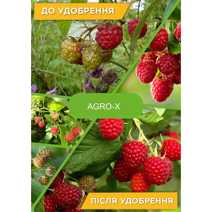 Минеральное удобрение Agro-x Biohyper extra Биохайпер Экстра для малины 100 г (47908) - фото 3