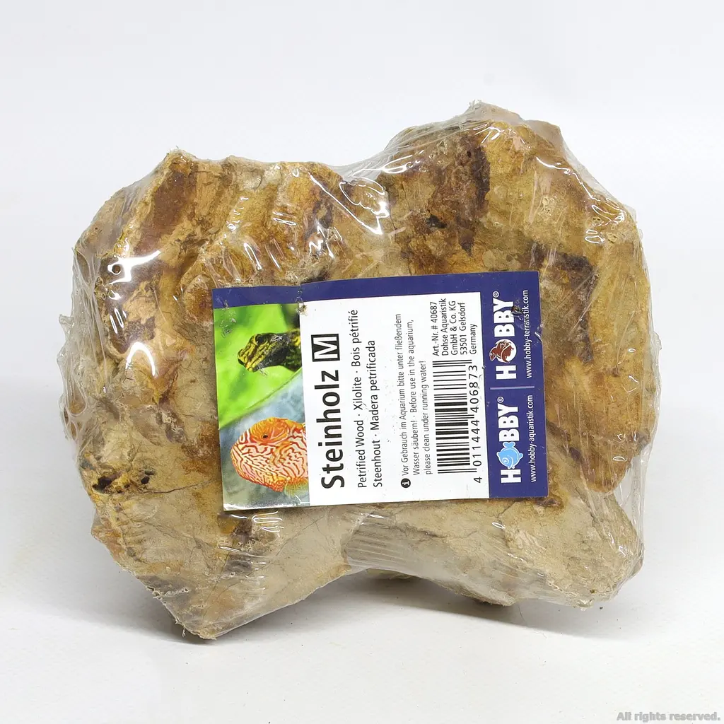 Декоративний природній камінь Hobby Petrified Wood M 1-2.2кг (40687) - фото 5