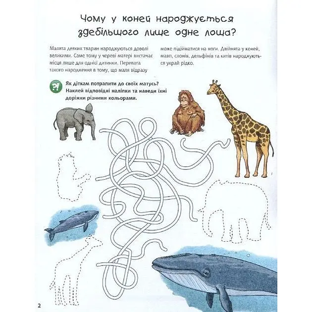 Інтерактивна книжка Богдан Чому? Чого? Навіщо? Малята тварин - Ріхтер Штефан (978-966-10-5959-6) - фото 2