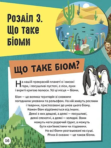Енциклопедія юних розумників - Ненсі Дікманн - фото 11