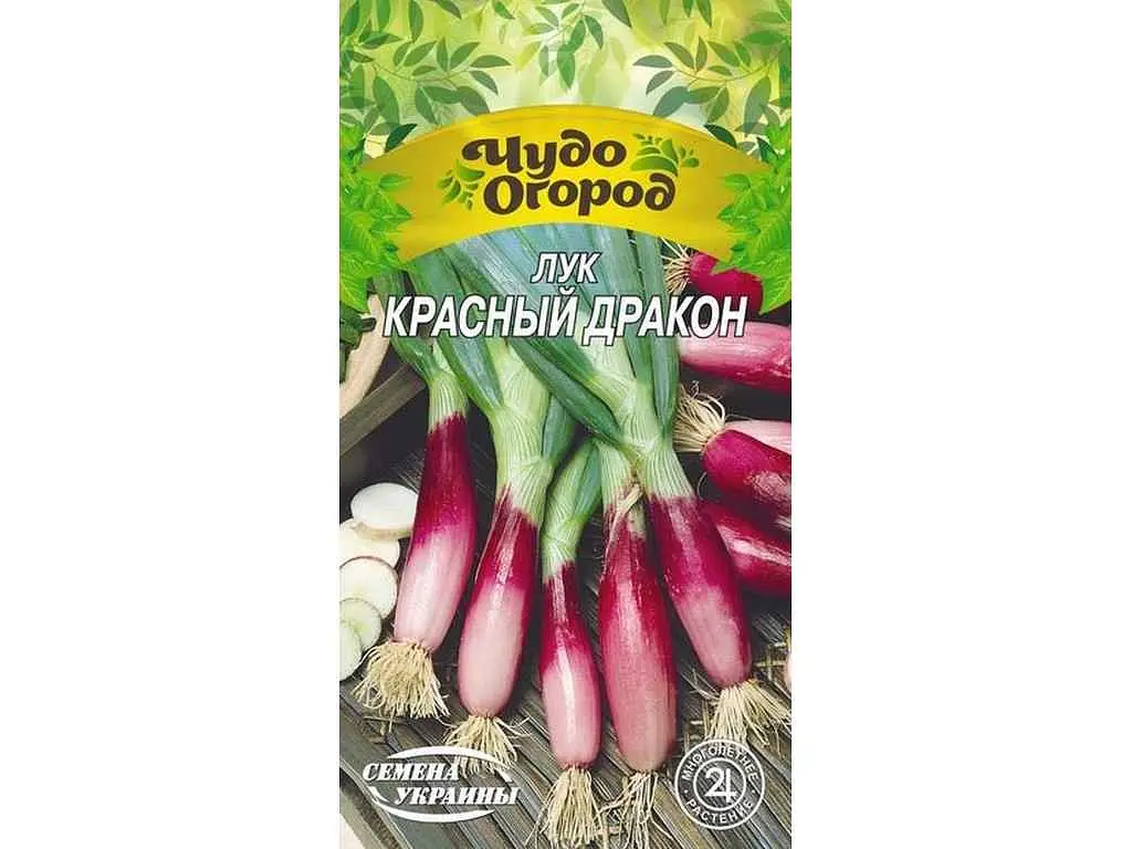 Цибуля СЕМЕНА УКРАИНЫ (10 пачок) -батун Чудо Красный Дракон 0,25г (рс)