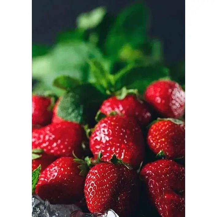 Саджанець Agro-Market Полуниця Кент (Kent) 5шт (ранній термін дозрівання, ягоди добре зберігаються) (25735) - фото 4