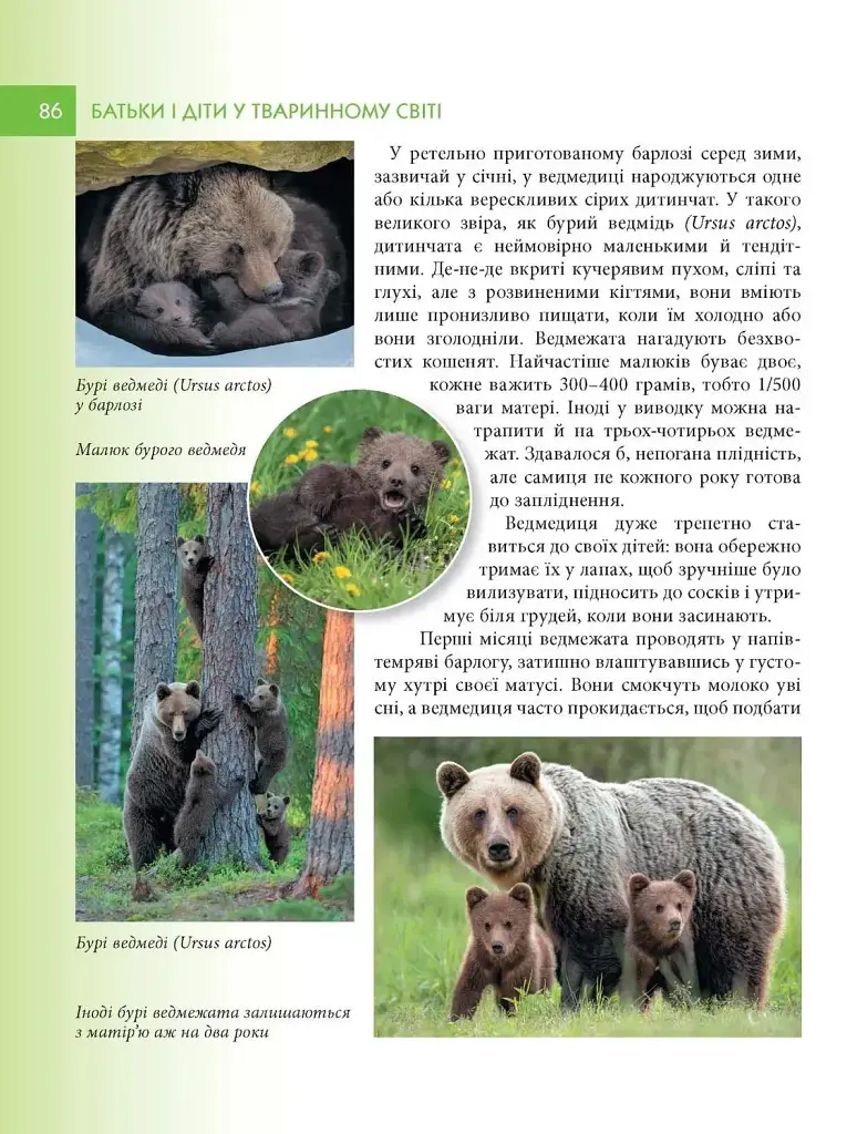 Енциклопедія для допитливих А5. Батьки і діти у тваринному світі - Андрій Гапченко - фото 3