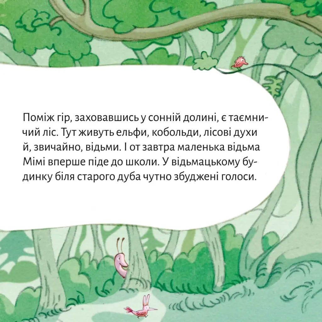 Відьма Мімі йде до школи - Рюдіґер Паульсен - фото 3