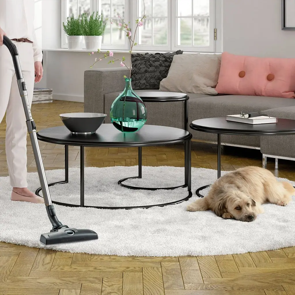 Пилосос Electrolux ESPC71DB [90331] - фото 4