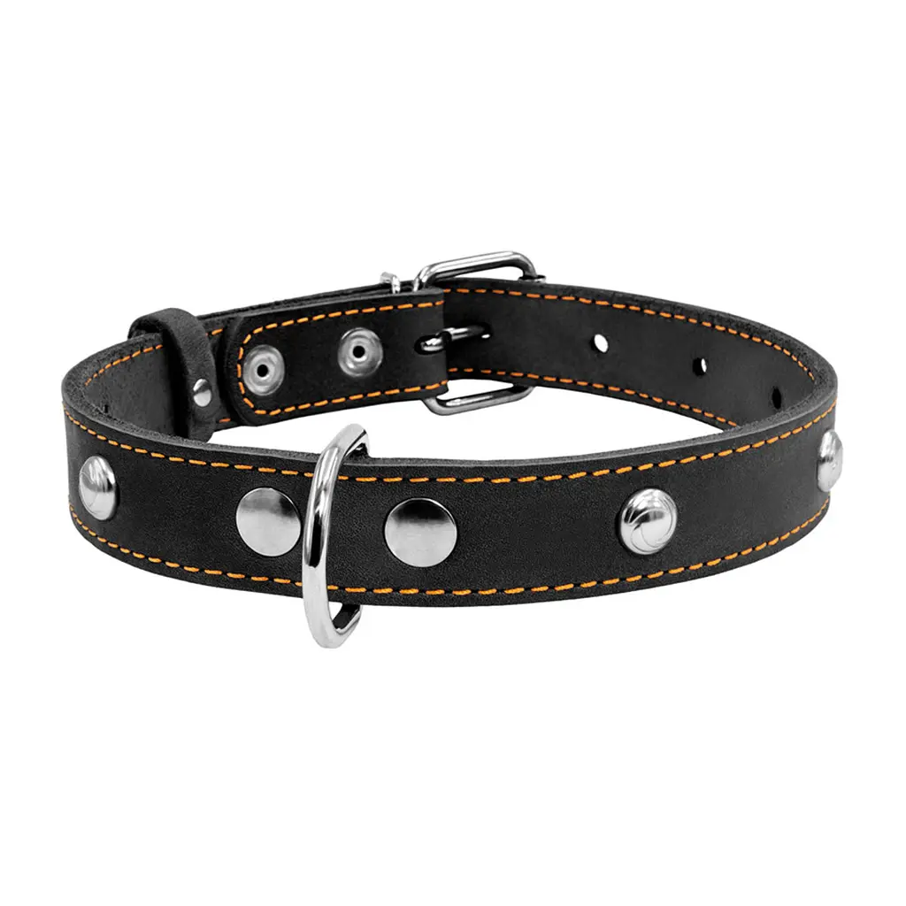 Ошейник Collar одинарный с украшением, 38-50х2,5 см, черный - фото 2
