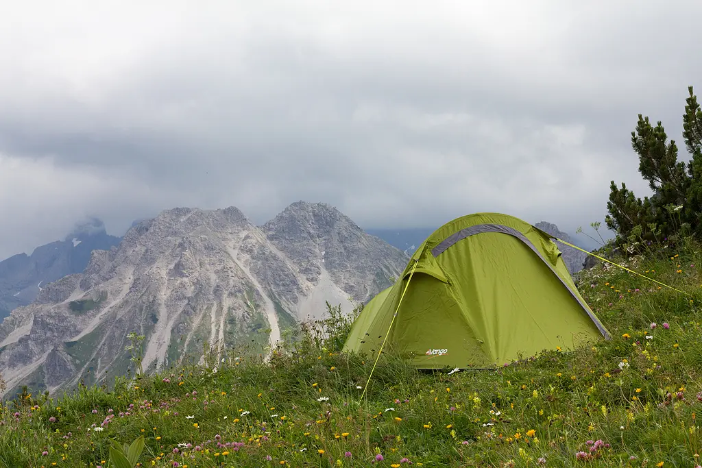 Намет Vango Soul 100 Treetops (TERSOUL T15077) - фото 4