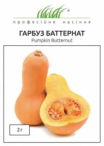 Насіння гарбуза Баттернат 2 г (Професійне насіння)