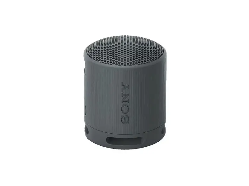 Портативна колонка Sony SRS-XB100 Black (SRSXB100B) - фото 2