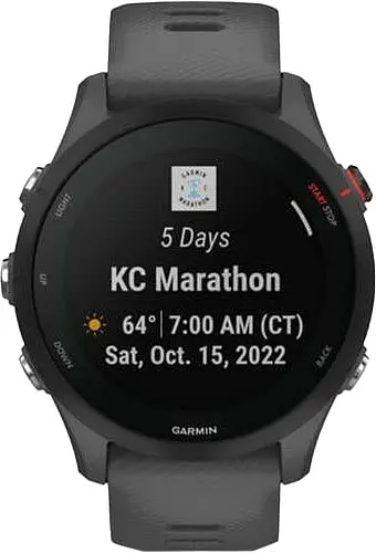 Смарт-годинник Garmin Forerunner 255 Slate Gray (010-02641-00/10/43) - фото 7
