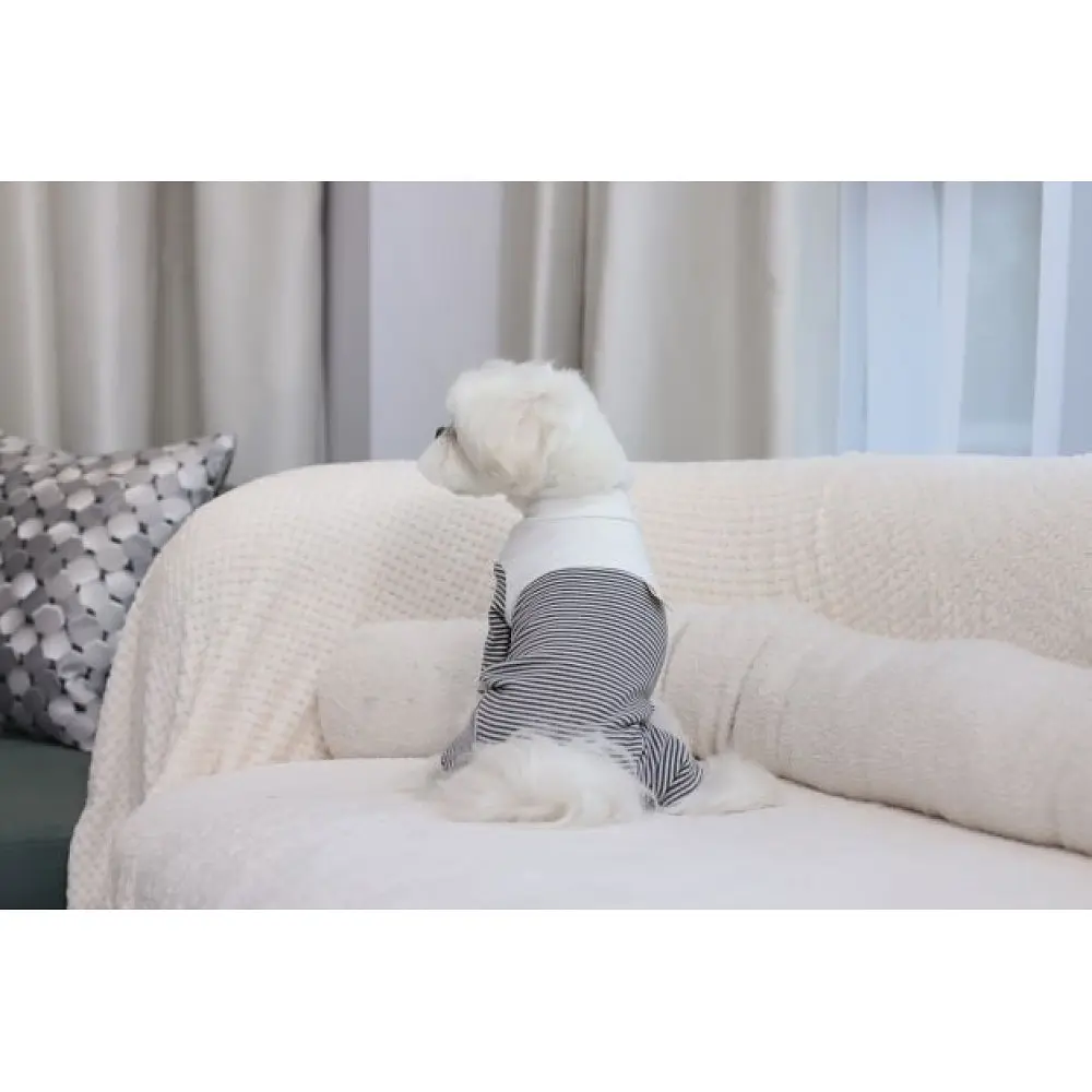 Трикотажний костюм для собак у смужку, білий S Cheepet zoo0005676 - фото 3