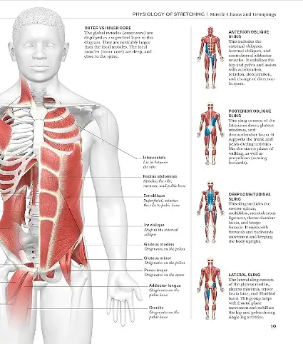 Science of Stretch - фото 4