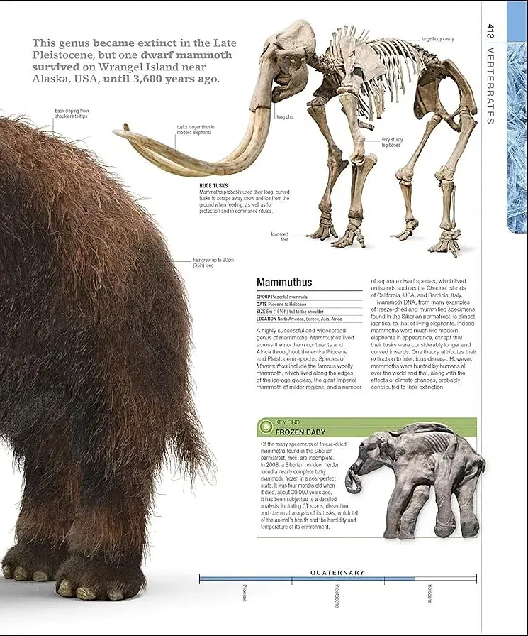 Dinosaurs and Prehistoric Life. The Definitive Visual Guide - фото 14