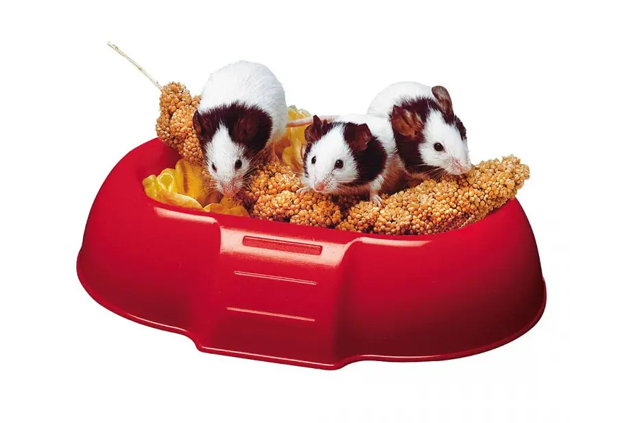 Годівниця для гризунів Ferplast Dada 4706 Feeding Bowl 16.5x11.5x3.5 см 84706799