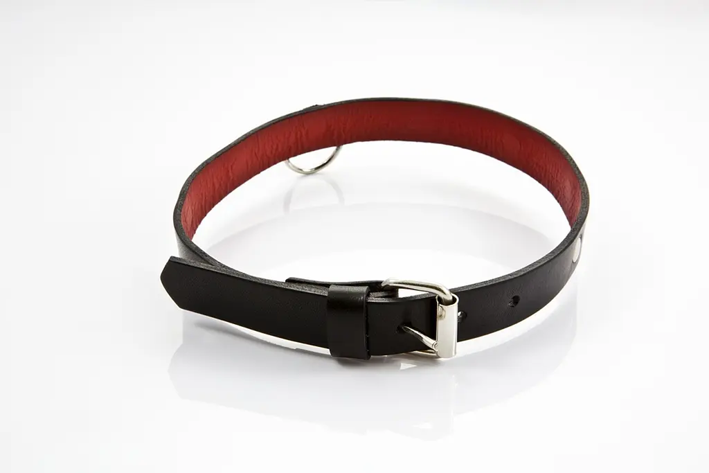 Нашийник - Whips Collection Collar For Her - фото 3
