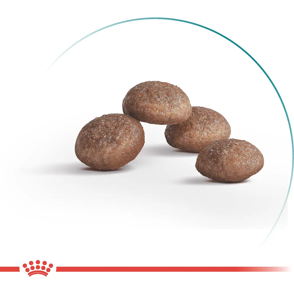 Сухий корм повнораціонний для котів Royal Canin Ageing 11+ віком від 11 років 2 кг - фото 2
