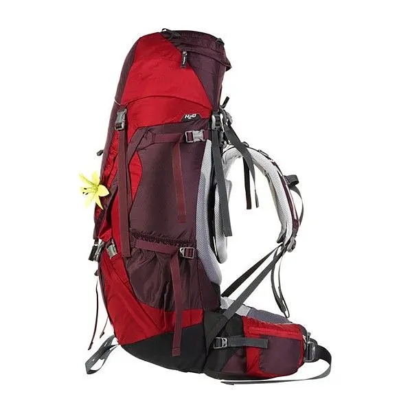 Рюкзак Deuter Aircontact 60+10 SL Old Aubergine-Cranberry (1052-3320416 5518) - фото 2
