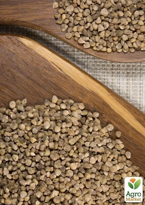 Насіння Agro-Market Шпинат гігантський на вагу ціна за 7 г (35738) - фото 3