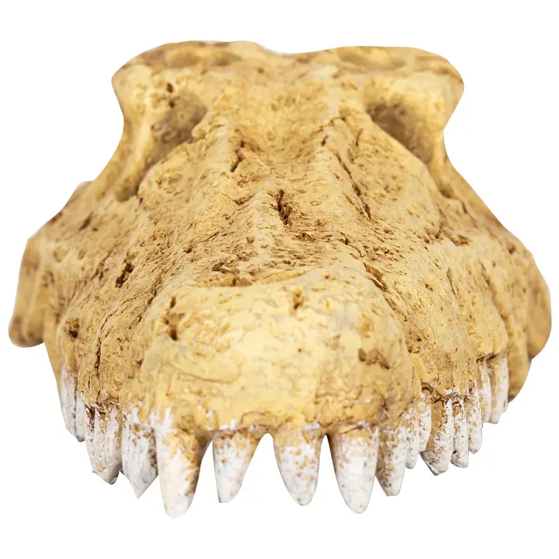 Крокодилячий череп Repti-Zoo Crocodile Skull M ERS34M 18x10x5,5 см - декоративне укриття для тераріуму та акваріуму - фото 2