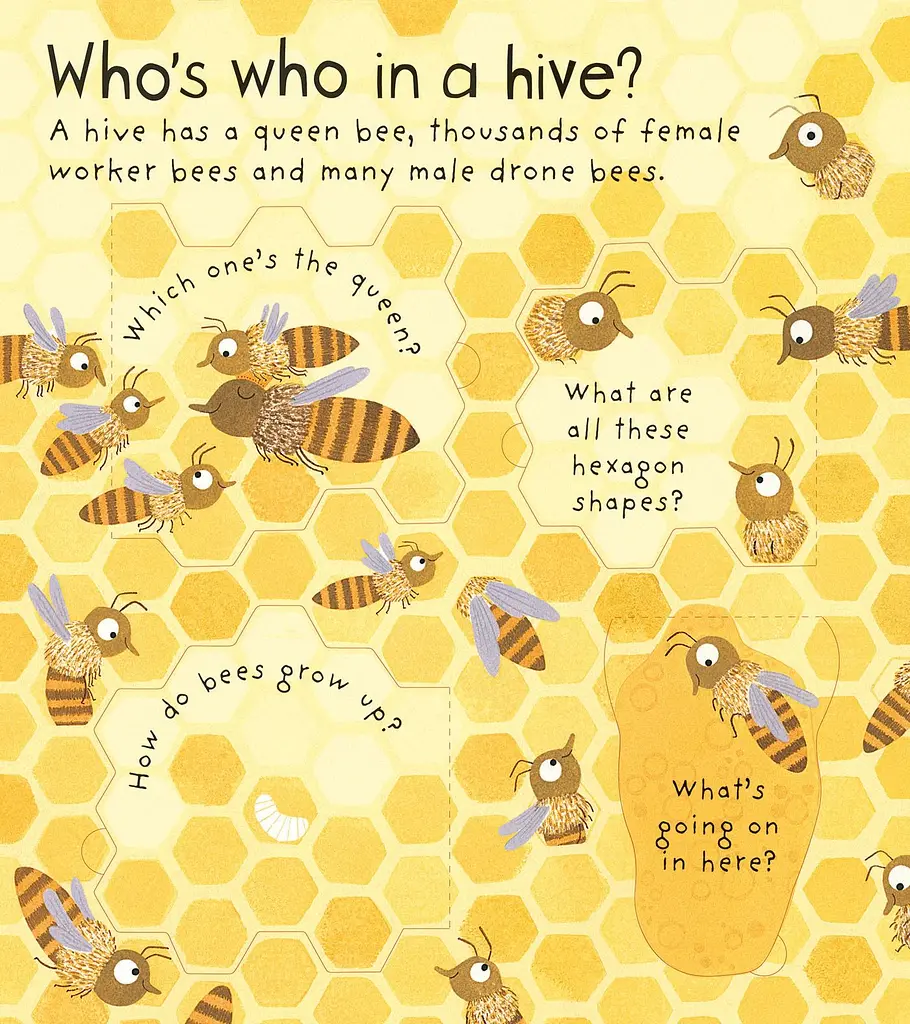 Lift-the-Flap First Questions & Answers: Why Do We Need Bees? - фото 6