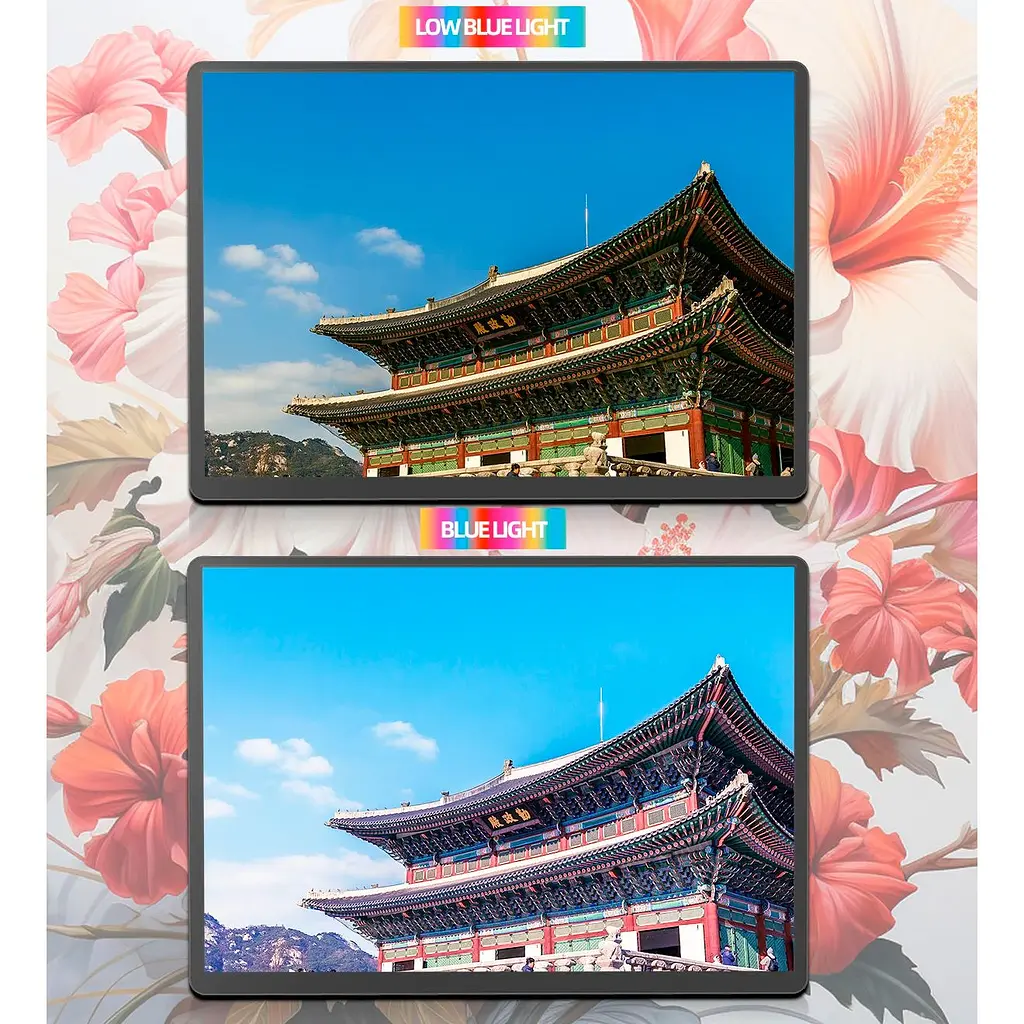 Портативный монитор ZSUS 14A-2K Black [101368] - фото 6