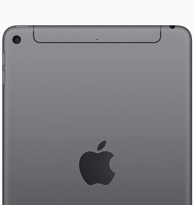 Apple iPad mini 5 Wi-Fi + Cellular 64GB Space Gray (MUXF2, MUX52) - фото 3