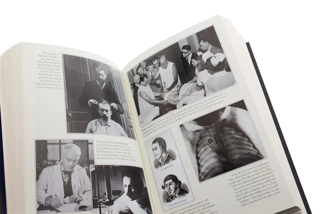 The Body. A Guide for Occupants - фото 4